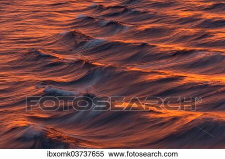 "Bow waves in the evening light, Arctic Ocean, Spitsbergen Island, Svalbard Archipelago, Svalbard and Jan Mayen, Norway, Europe" View Large Photo Image Stock Photography - "Bow waves in the evening light, Arctic Ocean, Spitsbergen Island, Svalbard Archipelago, Svalbard and Jan Mayen, Norway, Europe". Fotosearch