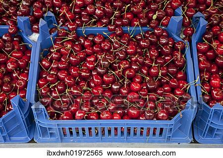 Box of cherries at a market stall View Large Photo Image Stock Photography - Box of cherries at a market stall. Fotosearch