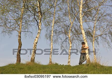 "Boy, 7 years, embracing a birch tree, Thuringia, Germany, Europe" View Large Photo Image Stock Photo - "Boy, 7 years, embracing a birch tree, Thuringia, Germany, Europe". Fotosearch