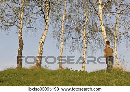 "Boy, 7 years, leaning against a birch tree, Thuringia, Germany, Europe" View Large Photo Image Stock Photo - "Boy, 7 years, leaning against a birch tree, Thuringia, Germany, Europe". Fotosearch