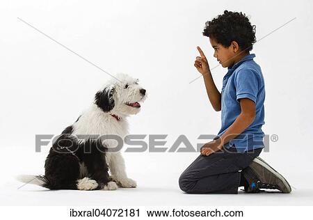 Stock Image - "Boy, 8 years, training an Old English Sheepdog puppy, 4 months". Fotosearch