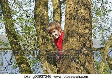 Boy climbing a tree View Large Photo Image Stock Photograph - Boy climbing a tree. Fotosearch