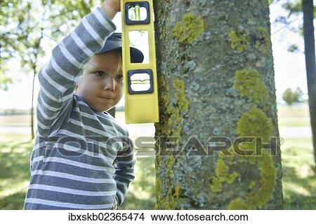 Boy with a spirit level measuring a tree trunk View Large Photo Image Picture - Boy with a spirit level measuring a tree trunk. Fotosearch