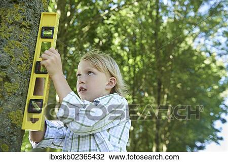 Boy with a spirit level measuring a tree trunk View Large Photo Image Stock Image - Boy with a spirit level measuring a tree trunk. Fotosearch