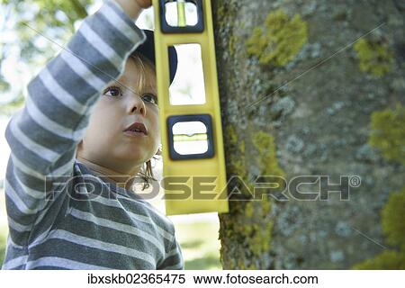 Stock Photography - Boy with a spirit level measuring a tree trunk. Fotosearch