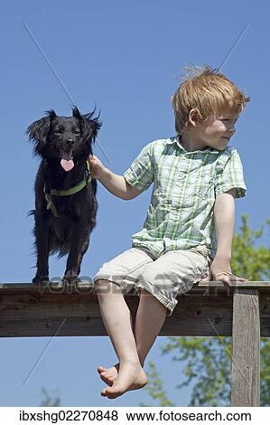 Boy with dog sitting on a fence View Large Photo Image Stock Photo - Boy with dog sitting on a fence. Fotosearch