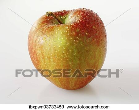 Braeburn apple View Large Photo Image Stock Photo - Braeburn apple. Fotosearch