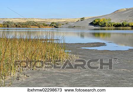Stock Image - "Branch of the Great Dune Lake, Bruneau Dunes State Park, Bruneau, Idaho, USA". Fotosearch