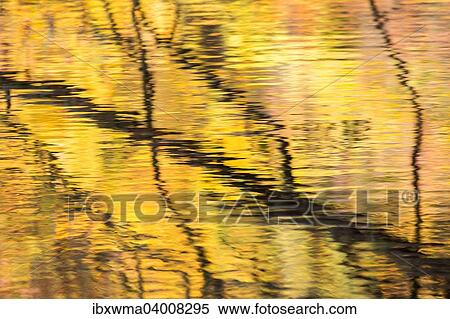 Stock Photography - "Branches of a tree reflected in autumnally coloured water, North Hesse, Hesse, Germany, Europe". Fotosearch