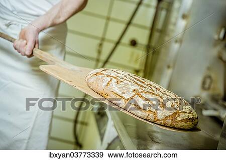 Bread in a bakery View Large Photo Image Stock Photo - Bread in a bakery. Fotosearch