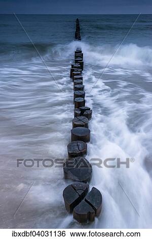 "Breakwaters or groins, blue hour, Baltic Sea, Zingst Fischland-Darss-Zingst peninsula, Mecklenburg-Western Pomerania, Germany, Europe" View Large Photo Image Stock Photograph - "Breakwaters or groins, blue hour, Baltic Sea, Zingst Fischland-Darss-Zingst peninsula, Mecklenburg-Western Pomerania, Germany, Europe". Fotosearch