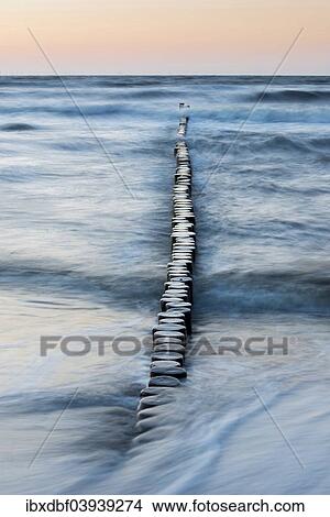 Picture - "Breakwaters or groynes in the evening light, breaking wave, Baltic Sea, Zingst, Fischland-Darss-Zingst peninsula, Mecklenburg-Western Pomerania, Germany, Europe". Fotosearch