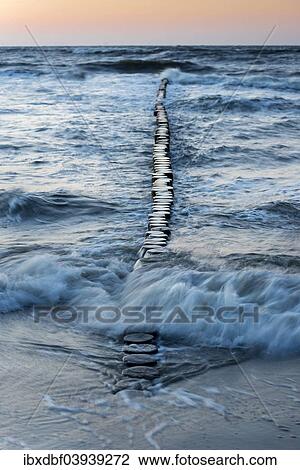 "Breakwaters or groynes in the evening light, breaking wave, Baltic Sea, Zingst, Fischland-Darss-Zingst peninsula, Mecklenburg-Western Pomerania, Germany, Europe" View Large Photo Image Stock Image - "Breakwaters or groynes in the evening light, breaking wave, Baltic Sea, Zingst, Fischland-Darss-Zingst peninsula, Mecklenburg-Western Pomerania, Germany, Europe". Fotosearch