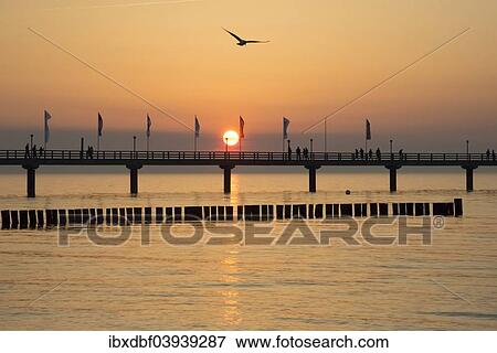 "Breakwaters or groynes, pier, sunset, Baltic Sea, Zingst, Fischland-Darss-Zingst peninsula, Mecklenburg-Western Pomerania, Germany, Europe" View Large Photo Image Stock Photo - "Breakwaters or groynes, pier, sunset, Baltic Sea, Zingst, Fischland-Darss-Zingst peninsula, Mecklenburg-Western Pomerania, Germany, Europe". Fotosearch