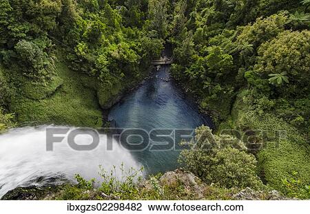 Stock Image - "Bridal Veil Falls from above, plunging into a lake, Raglan, Waikato, North Island, New Zealand, Oceania". Fotosearch