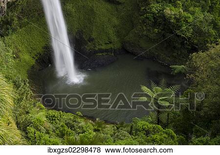 "Bridal Veil Falls surrounded by dense rainforest, Raglan, Waikato, North Island, New Zealand, Oceania" View Large Photo Image Stock Photo - "Bridal Veil Falls surrounded by dense rainforest, Raglan, Waikato, North Island, New Zealand, Oceania". Fotosearch