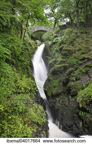 "Bridge, Aira Force waterfall, Lake District National Park, Cumbria, England, United Kingdom, Europe" View Large Photo Image Picture - "Bridge, Aira Force waterfall, Lake District National Park, Cumbria, England, United Kingdom, Europe". Fotosearch