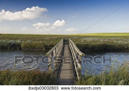 "Bridge and salt meadows, Westerheversand, Westerhever, Eiderstedt, North Frisia, Schleswig-Holstein, Germany, Europe" View Large Photo Image Stock Image - "Bridge and salt meadows, Westerheversand, Westerhever, Eiderstedt, North Frisia, Schleswig-Holstein, Germany, Europe". Fotosearch