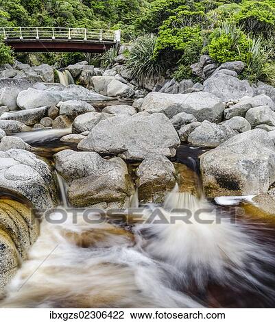 "Bridge over a stream with brown water, coloured by plant tannins, condensed proanthocyanidins, Karamea, Kohaihai, South Island, New Zealand, Oceania" View Large Photo Image Stock Image - "Bridge over a stream with brown water, coloured by plant tannins, condensed proanthocyanidins, Karamea, Kohaihai, South Island, New Zealand, Oceania". Fotosearch