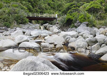 Stock Image - "Bridge over a stream with brown water, coloured by plant tannins, condensed proanthocyanidins, Karamea, Kohaihai, South Island, New Zealand, Oceania". Fotosearch