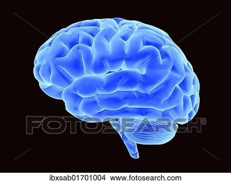 "Bright blue brain, 3D illustration" View Large Photo Image Picture - "Bright blue brain, 3D illustration". Fotosearch