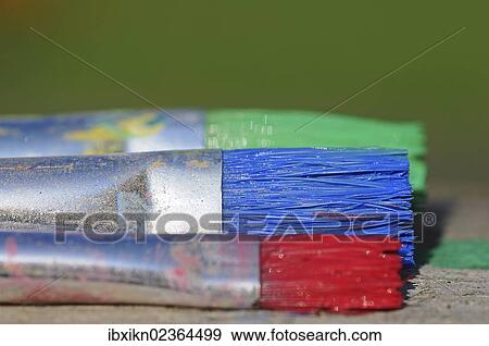 "Bristle brushes, lying" View Large Photo Image Stock Photo - "Bristle brushes, lying". Fotosearch