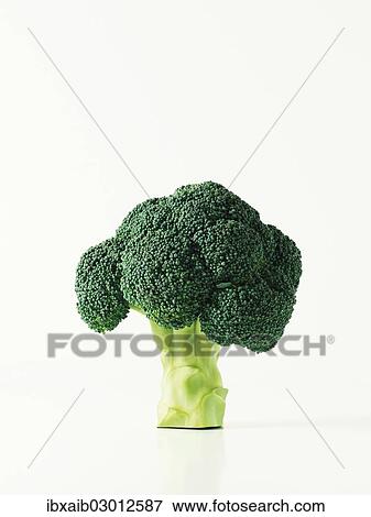 Broccoli View Large Photo Image Stock Photo - Broccoli. Fotosearch