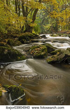 "Brook in autumn, Blockheide-Gmund Nature Park, Malerwinkel, Waldviertel or Forest Quarter, Lower Austria, Austria, Europe" View Large Photo Image Stock Image - "Brook in autumn, Blockheide-Gmund Nature Park, Malerwinkel, Waldviertel or Forest Quarter, Lower Austria, Austria, Europe". Fotosearch