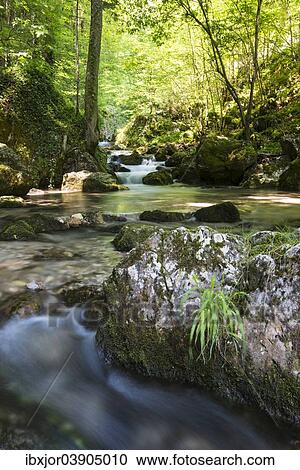"Brook of Myra Falls, Muggendorf, Lower Austria, Austria, Europe" View Large Photo Image Stock Image - "Brook of Myra Falls, Muggendorf, Lower Austria, Austria, Europe". Fotosearch