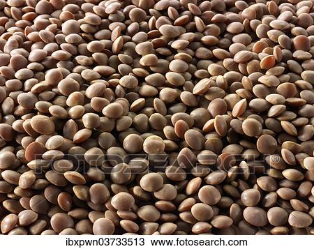 Brown lentils View Large Photo Image Stock Image - Brown lentils. Fotosearch