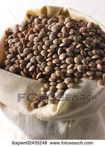 Brown lentils View Large Photo Image Stock Photo - Brown lentils. Fotosearch