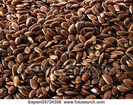 Brown linseed View Large Photo Image Stock Photograph - Brown linseed. Fotosearch