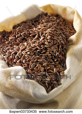 Brown linseed View Large Photo Image Stock Photography - Brown linseed. Fotosearch