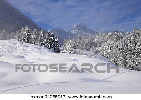 "Brunnstein mountain, view from Hocheck mountain, Mangfall Mountains, near Oberaudorf, Upper Bavaria, Bavaria, Germany, Europe" View Large Photo Image Stock Photo - "Brunnstein mountain, view from Hocheck mountain, Mangfall Mountains, near Oberaudorf, Upper Bavaria, Bavaria, Germany, Europe". Fotosearch