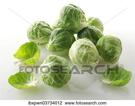 Brussels sprouts View Large Photo Image Stock Image - Brussels sprouts. Fotosearch