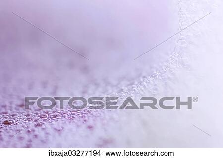 "Bubbles, lather, Germany, Europe" View Large Photo Image Picture - "Bubbles, lather, Germany, Europe". Fotosearch