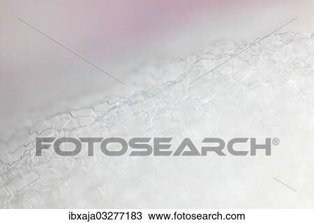 "Bubbles, lather, Germany, Europe" View Large Photo Image Stock Image - "Bubbles, lather, Germany, Europe". Fotosearch