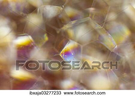 "Bubbles, lather, Germany, Europe" View Large Photo Image Stock Image - "Bubbles, lather, Germany, Europe". Fotosearch