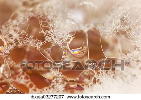 Stock Photo - "Bubbles, lather, Germany, Europe". Fotosearch