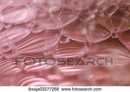 "Bubbles, lather, Germany, Europe" View Large Photo Image Stock Photo - "Bubbles, lather, Germany, Europe". Fotosearch