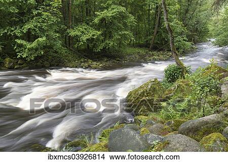 Picture - "Buchberger Leite mountain stream gorve, between Freyung and Ringelai, Bavarian Forest National Park, Bavaria, Germany, Europe". Fotosearch