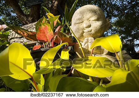 "Buddha statue in Chiang Mai, Northern Thailand, Thailand, Asia" View Large Photo Image Stock Photo - "Buddha statue in Chiang Mai, Northern Thailand, Thailand, Asia". Fotosearch