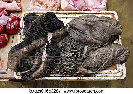 "Buffalo stomach, delicacy, market, Vietnam, Asia" View Large Photo Image Stock Photo - "Buffalo stomach, delicacy, market, Vietnam, Asia". Fotosearch