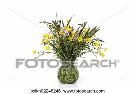 Bunch of field flowers with buttercups (Ranunculus acris) in a glass vase View Large Photo Image Stock Photograph - Bunch of field flowers with buttercups (Ranunculus acris) in a glass vase. Fotosearch