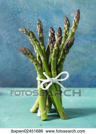 Bunch of fresh asparagus spears View Large Photo Image Stock Photograph - Bunch of fresh asparagus spears. Fotosearch