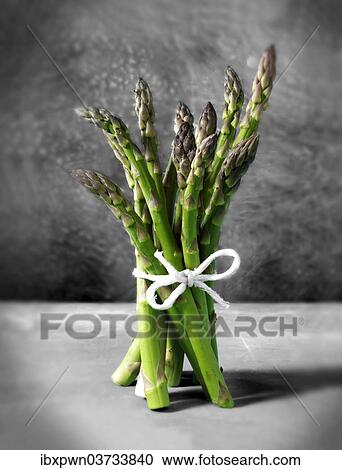 Bunch of fresh English asparagus spears View Large Photo Image Stock Image - Bunch of fresh English asparagus spears. Fotosearch