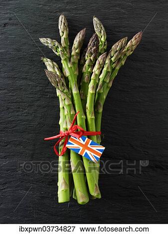 Bunch of fresh English asparagus spears View Large Photo Image Stock Photo - Bunch of fresh English asparagus spears. Fotosearch