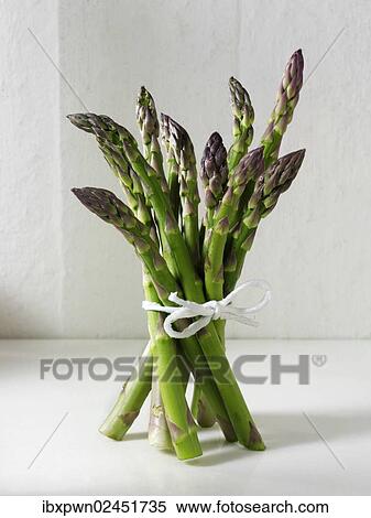 Stock Photography - Bunch of fresh English asparagus spears. Fotosearch