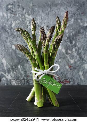 Bunch of fresh English organic asparagus spears View Large Photo Image Stock Image - Bunch of fresh English organic asparagus spears. Fotosearch