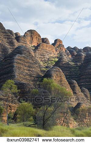 "Bungle Bungles, beehive-shaped sandstone towers, Purnululu National Park, UNESCO World Heritage Site, Eastern Kimberleys, Western Australia" View Large Photo Image Stock Image - "Bungle Bungles, beehive-shaped sandstone towers, Purnululu National Park, UNESCO World Heritage Site, Eastern Kimberleys, Western Australia". Fotosearch